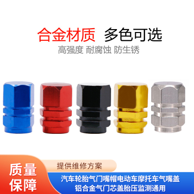 轮胎气门嘴帽维修工具TANTESTO