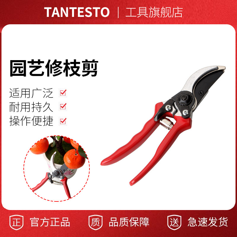 修剪树枝剪维修工具TANTESTO