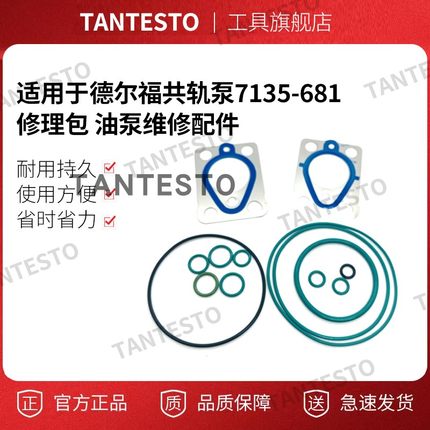 适用于德尔福共轨泵7135-681/686修理包 油泵维修配件