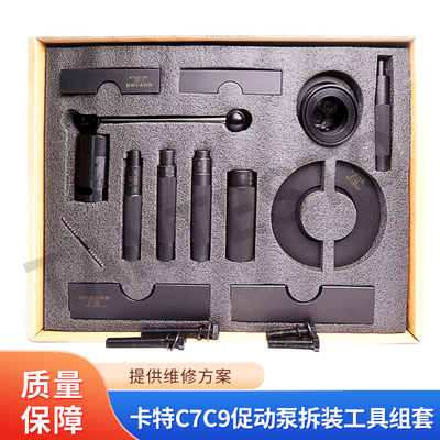 促动泵拆装分解维修工具TANTESTO