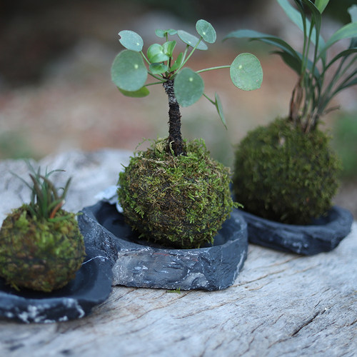 极速手工制作黑石盘盆景浅盆真石头花盆接水N盘石质烟灰缸砚台微