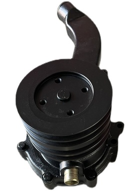 极速东方红六缸发动机水泵总成w6RZWT.510000-1水泵总成