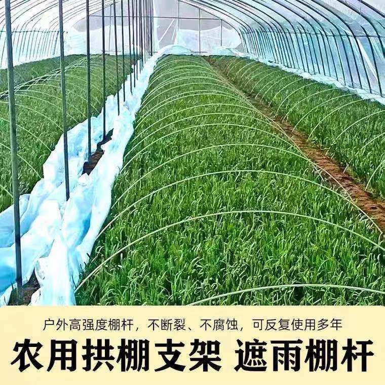 极速小拱棚支架杆蔬菜拱棚骨架育苗菜棚花棚玻璃纤维杆Y弹力棒农,农机/农具/农膜,温室大棚支架,淘宝优惠券,粉丝福利购,淘宝优惠卷