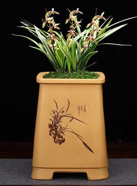 精品黄色b四方紫砂兰花盆大号高千筒手工陶瓷桌面绿植老桩