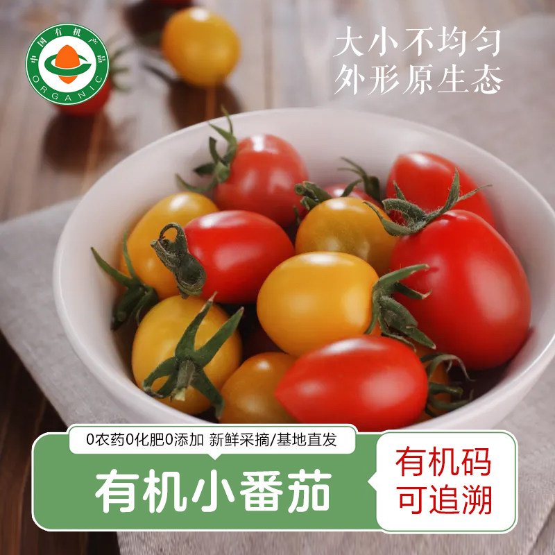 云南有机小番茄  新鲜高原千禧圣女果樱桃小番茄黄红组合,水产肉类/新鲜蔬果/熟食,番茄,淘宝优惠券,粉丝福利购,淘宝优惠卷