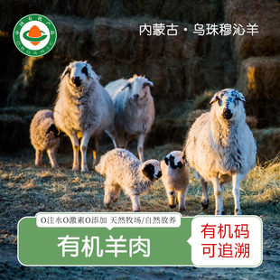 有机羊肉 内蒙古大草原纯草饲新鲜羊肉冷冻冰鲜羊肉块羊排羊肉串