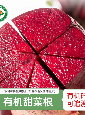 云南新鲜有机甜菜根 天然露天种植无农残红甜菜甜菜头榨汁红菜头