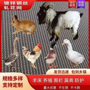 羊床漏粪网养羊鸡鸭鹅漏粪网底养殖围栏网热浸镀锌编织羊床钢丝网