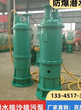 BQS400-180/3-315KW防爆泵1140v660v泥浆泵矿用隔爆型潜水排沙泵