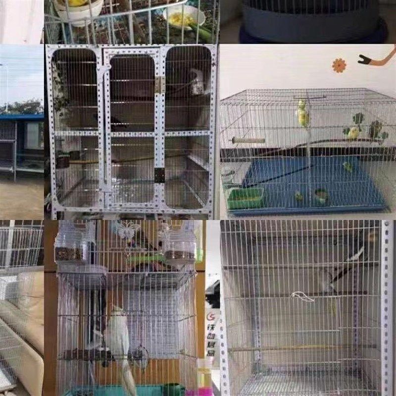 镀锌铁丝网围网养殖网钢丝网鸟笼网片自制笼子材料鸡笼鸽子笼兔笼,五金/工具,护栏/隔离栏,淘宝优惠券,粉丝福利购,淘宝优惠卷