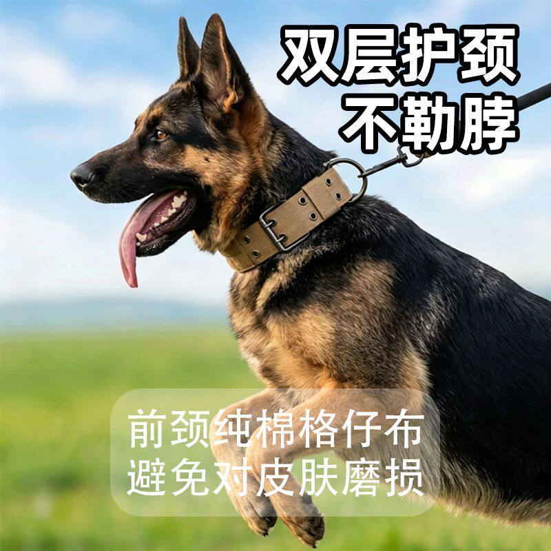 中型大型犬猛犬颈圈金毛狗脖圈耐用狗项圈