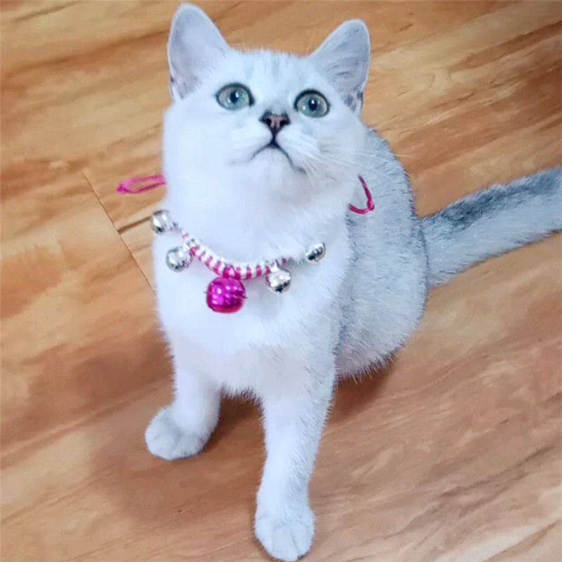 小型犬可爱铃铛脖圈宠物猫狗项圈幼猫颈圈脖子饰品