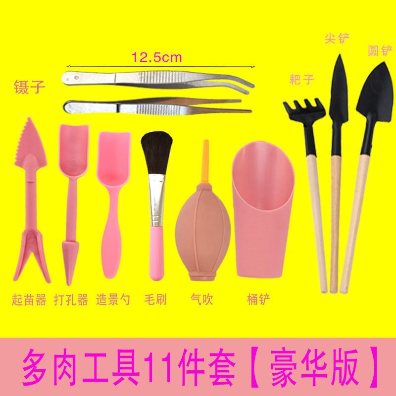 家用多肉养护工具套装迷你镊子铲子盆栽种花园艺用品