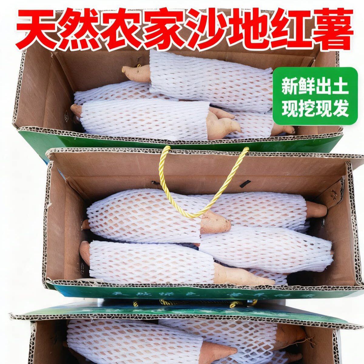 新鲜沙地红薯产地直发，现卖现装