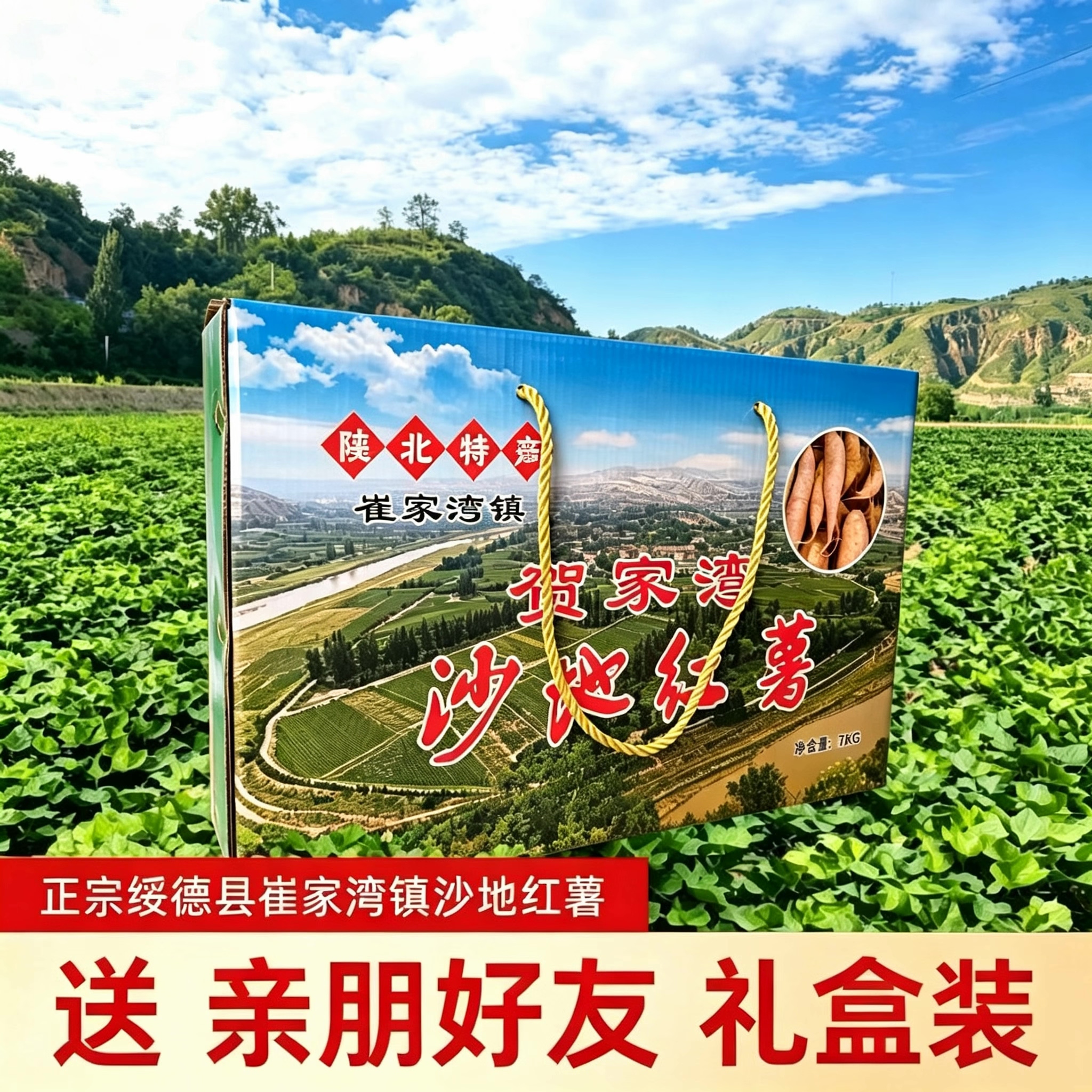 陕北黄心蜜薯软糯烤红薯产地直发
