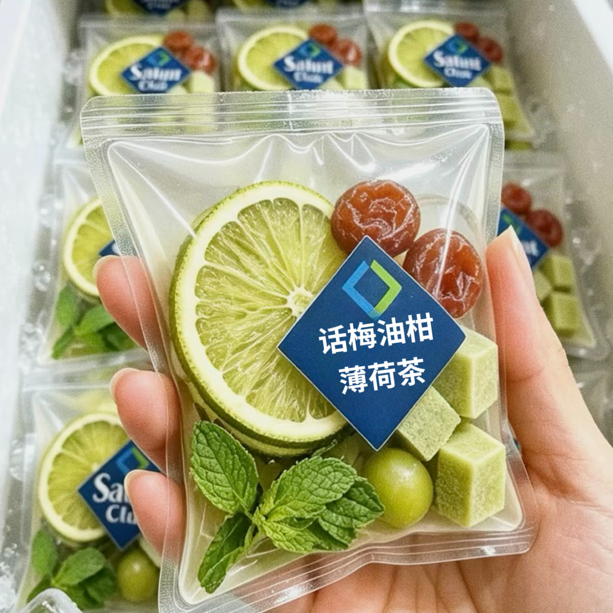 【夏季冷泡茶】冷热双泡独立茶包话梅油柑柠檬薄荷茶清爽解腻
