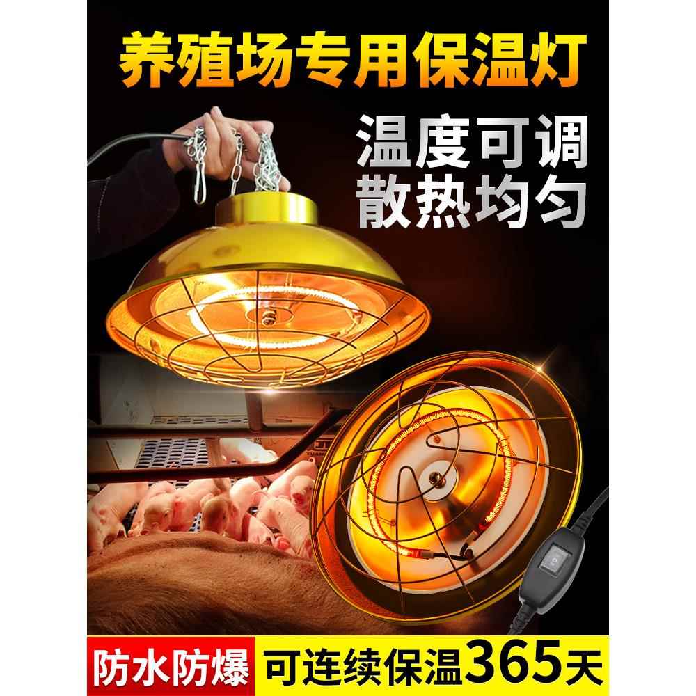 养殖场卤素猪仔育雏保温取暖灯