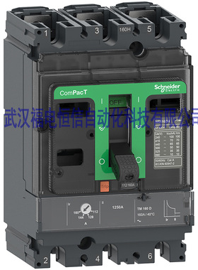 C25F3TM200施奈德NSX系列塑壳断路器NSX250F 36kA 3P3D 200A TMD