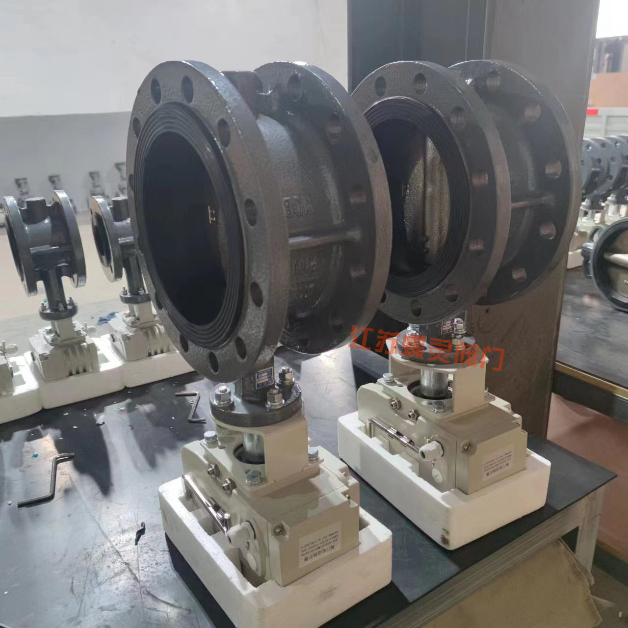 D941X-16C-DN300智能型电动衬胶法兰蝶阀