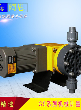 南方赛珀小型计量泵GS005PQ1反渗透泳池海水淡化水处理机械隔膜泵