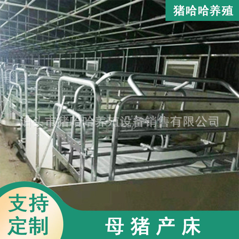 母猪产床母猪限位栏保育床双体两用复合板单体母猪定位栏高产护仔