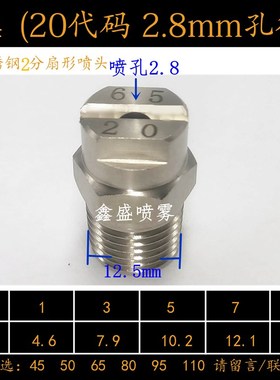 厂家直销 1分2分304不锈钢一体式高压洗车机清洗扇形喷嘴NZRVFS