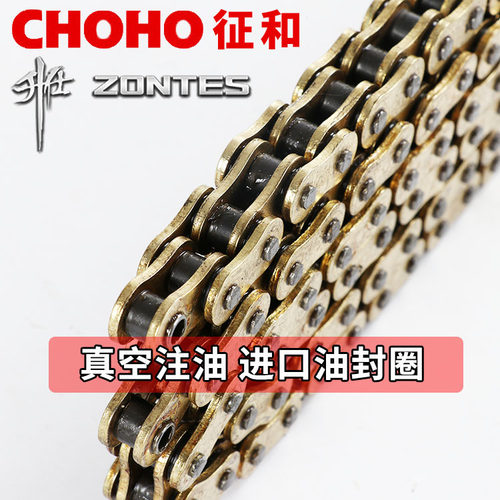 升仕310-X-T-R-V油封链条ZT250-S征和链条520HO HX SX加强耐磨拉
