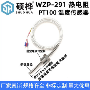 291热电阻4分2分温度监视器防水PT100温度感测器铂电阻固定监 WZP