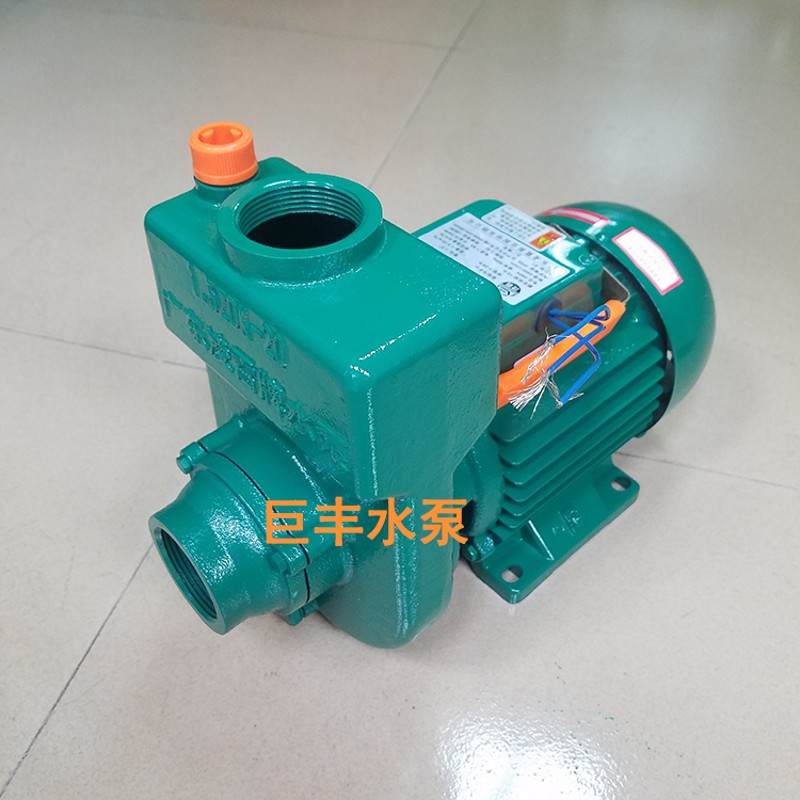 凌霄1ZDK20 1ZDB-65 JET150自吸清水泵家用农用V增压吸井水电动泵