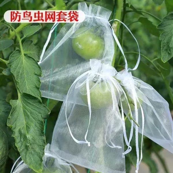 防鸟葡萄袋水果西红柿桃子防虫网包套瓜番茄保护袋番石榴袋专用果