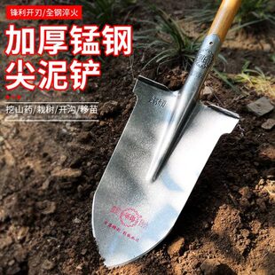 铁窄铁锹钢锹铲子户外锰钢树锨尖铲柄木锹挖军挖印加厚土专用农用