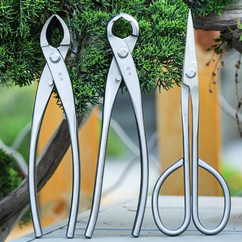 修枝剪球节剪盆景工具叶芽剪叉枝剪树瘤树节球形钳盆景造型工具剪,鲜花速递/花卉仿真/绿植园艺,剪刀,淘宝优惠券,粉丝福利购,淘宝优惠卷