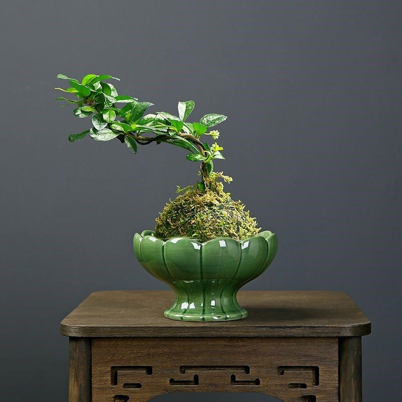 佛手柑托盘剑山插花器皿中式禅意花盆家用器皿开片陶瓷花盘花道圆,鲜花速递/花卉仿真/绿植园艺,花托/移动托盘,淘宝优惠券,粉丝福利购,淘宝优惠卷