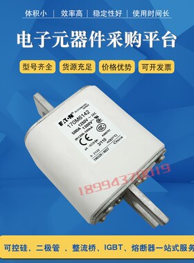 170M6195 170M6196 170MA6197 170M6198全新快速熔断器保险丝