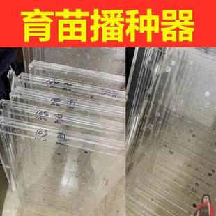 种子点播器大葱播种器省时省力塑料200孔黑盘西蓝花辣椒莴笋105孔