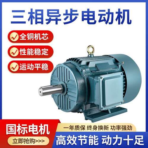 三相电机YE3-100L2-4 3KW/0.75/1.1/100L-6 1.5KW全铜电动机380V