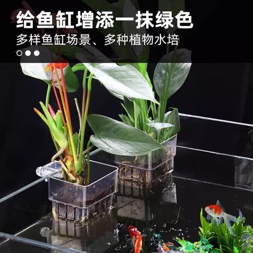 鱼缸造景装饰家用水培植物篮