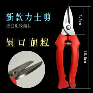 包邮 葡萄剪修枝剪园艺采果芽剪柑橘子修花稀果摘果 水果蔬果剪刀