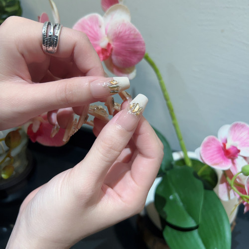 纯手工穿戴甲极奢闪钻蝴蝶结气质法式显白假指美甲贴片02