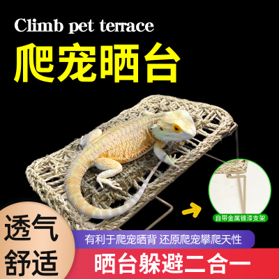 藤条蜥守宫攀爬箱内造景树蛙蜥蜴玩具晒台宠爬窝鬃狮爬虫躲避小窝