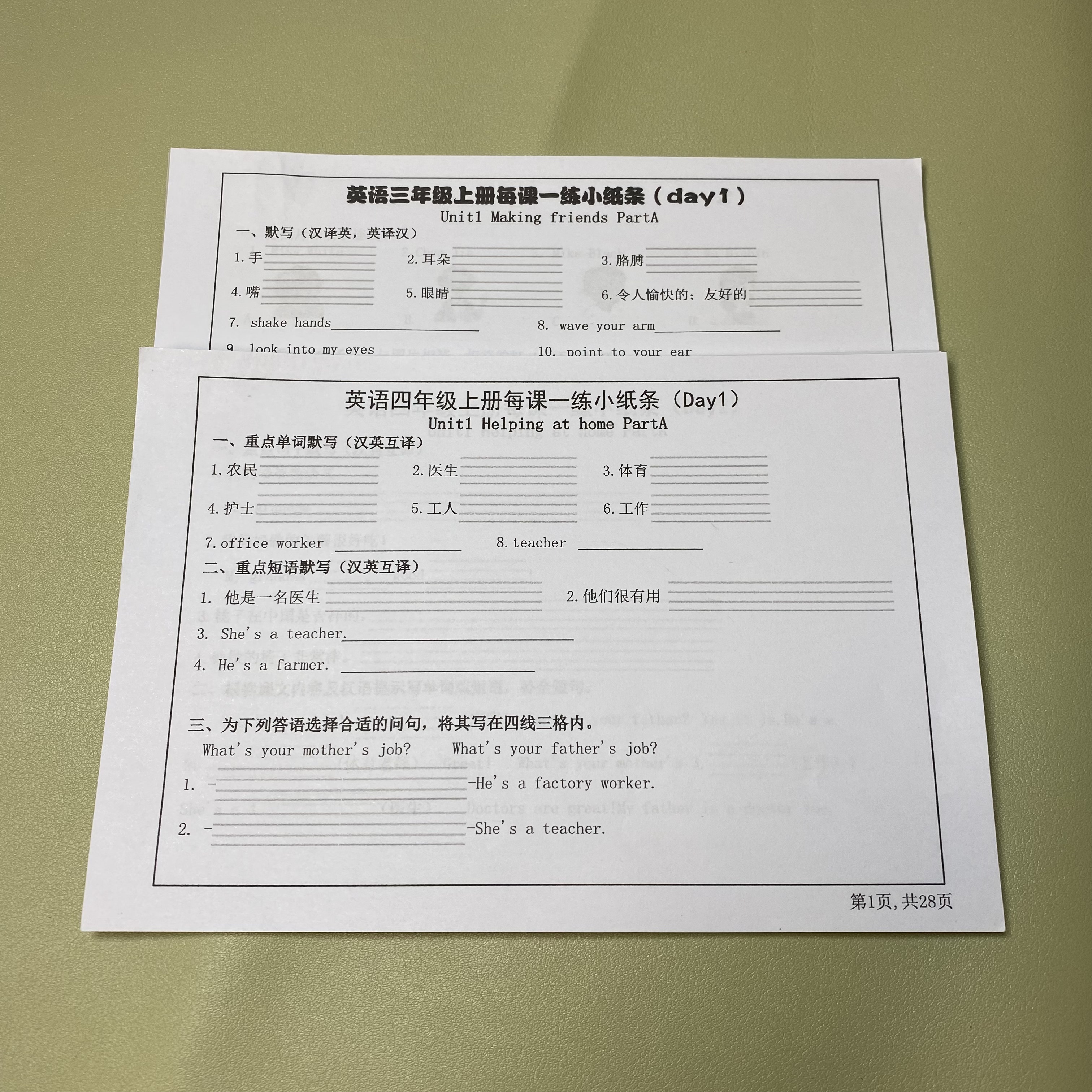 2025秋新版三四五六年级上册英语每日默写联习默写单