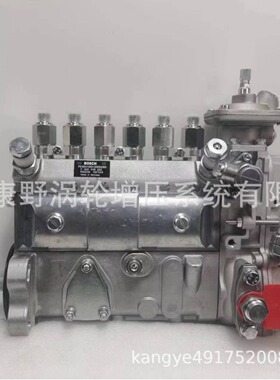 喷油泵101609-3800 101062-9310 4063910和6P7243 0402746620