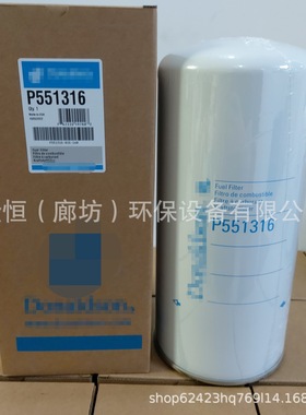 P551316柴油滤芯57899379 2110145 4068246 389-0433 BF7639燃油