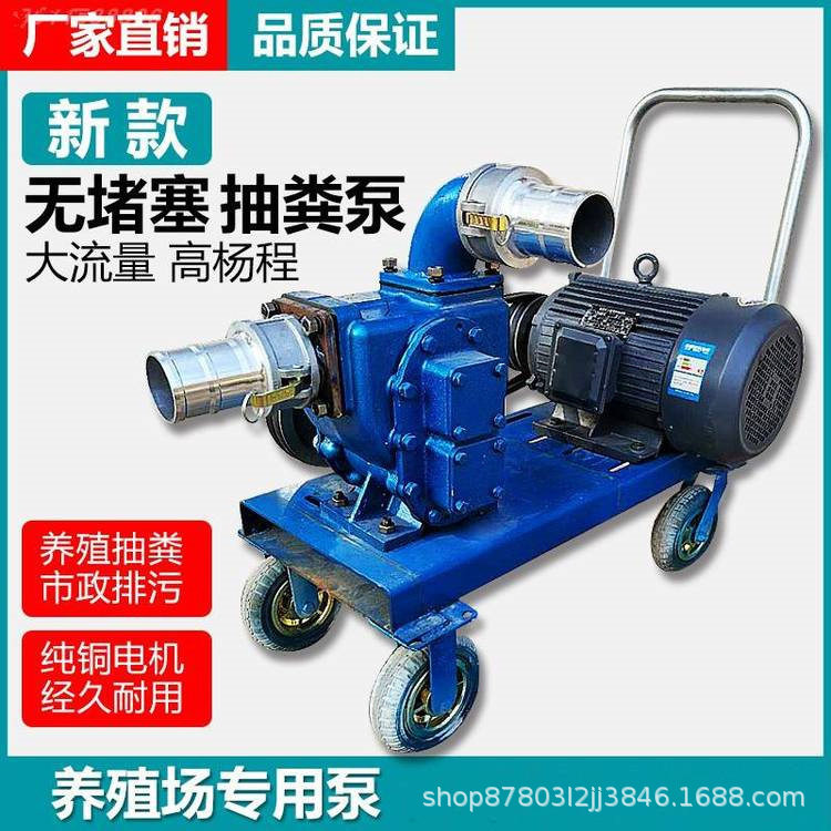 河道清淤污水处理泵 鸡粪鸭粪抽污水泵养殖厂专用 商用抽粪泵