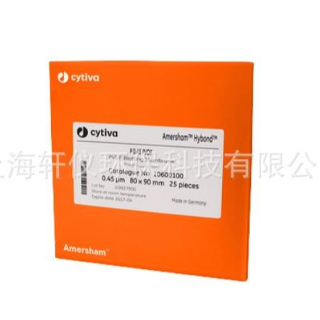 10600121Whatman孔径0.45umPVDF蛋白质印迹三层复合膜10+20张/包