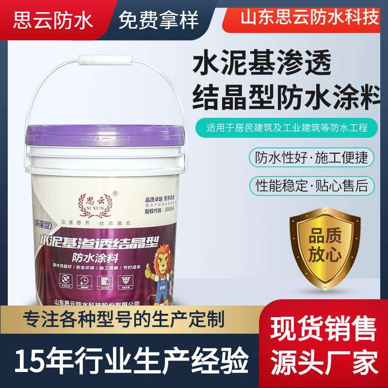 水泥基渗透结晶型桥梁隧道水利混凝土基面水泥地面修补漏防水涂料