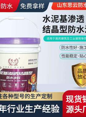 水泥基渗透结晶型桥梁隧道水利混凝土基面水泥地面修补漏防水涂料