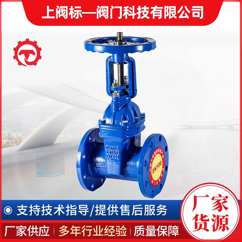 上阀标一阀门 闸阀Z41X-16Q 上阀标一阀门