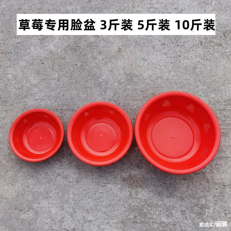 料脸盆2斤装3斤装5斤装10斤装草莓脸盆水果脸盆草莓盆小号 红色