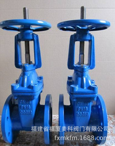 市政给水球墨铸铁软密封明杆法兰闸阀Z45X-10/16/25Q DN150